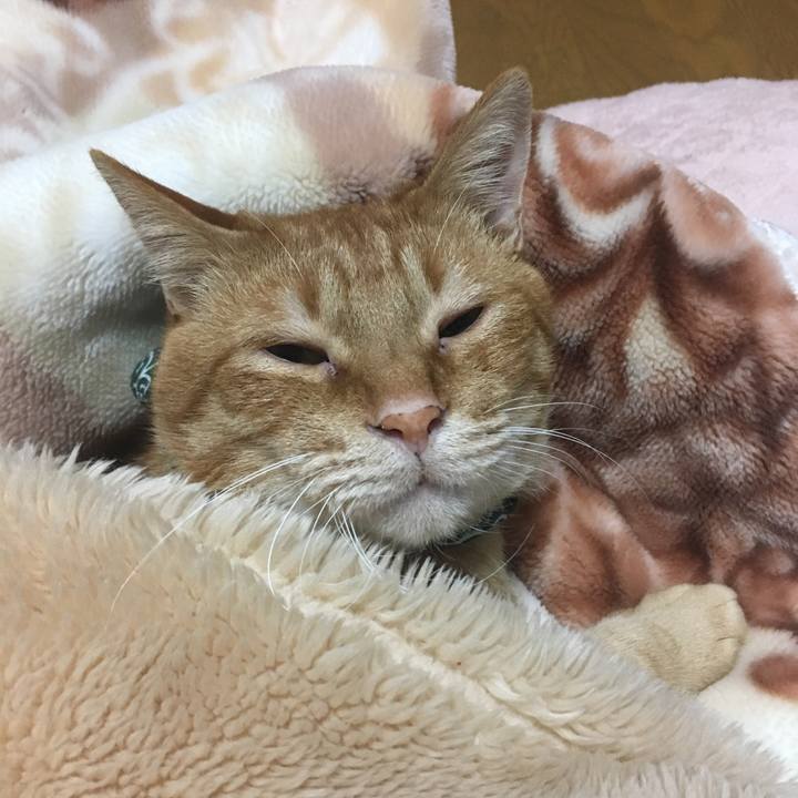 0401d5f8 cd66 4023 b14b 56987c2dc66d 1545463612782