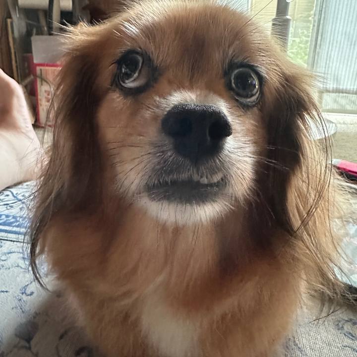 0401f5ae 43a8 4f80 9318 64d46b648235 1724619285978