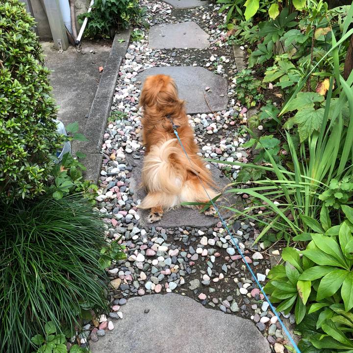 040226ba 714d 413d ab1a d9c678d0399d 1565996531426