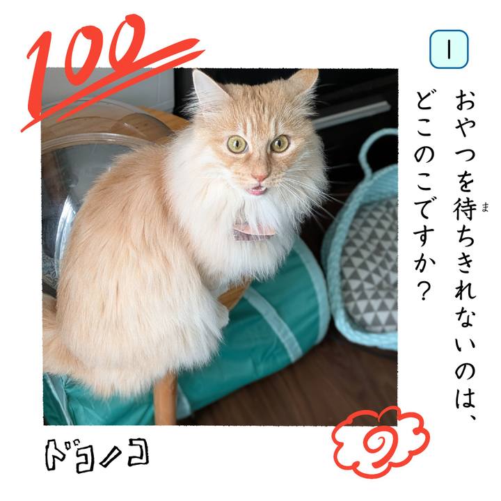 04022e5e 80ad 42af 9231 92329906f5ba 1744258179197