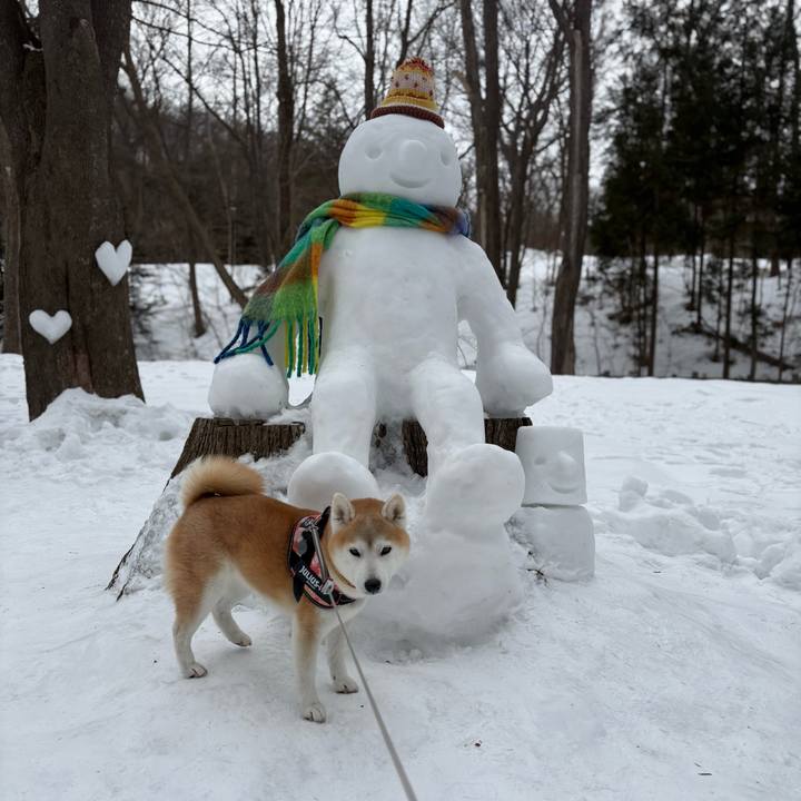 04024b8e 0d9a 41ba b354 51ed2b51e820 1741135678070