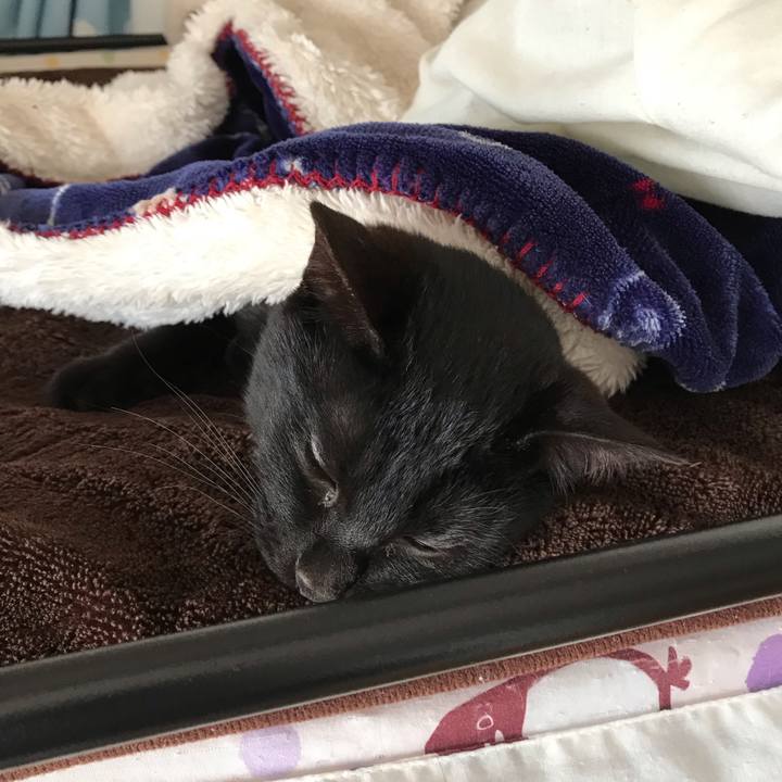 04025338 0dd6 407e a26c fe9032028f46 1552717959511