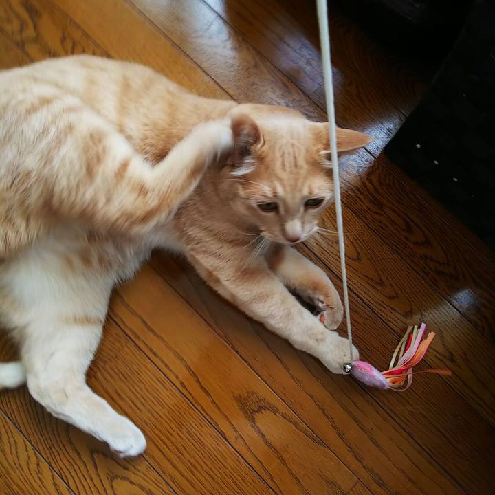 040274d6 b925 4c54 b716 8064a0ad7c78 1625986217176