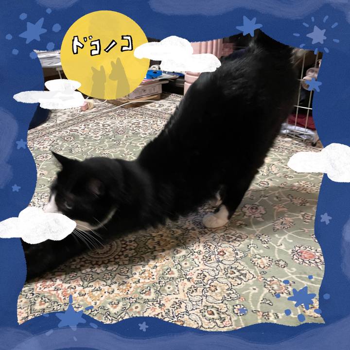 04027a0e ca92 4702 bf23 a69cb1fba203 1727093510482