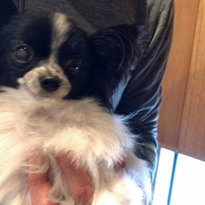 0402a33e c974 4b7b 943c 183112eb47dc 1508711871201