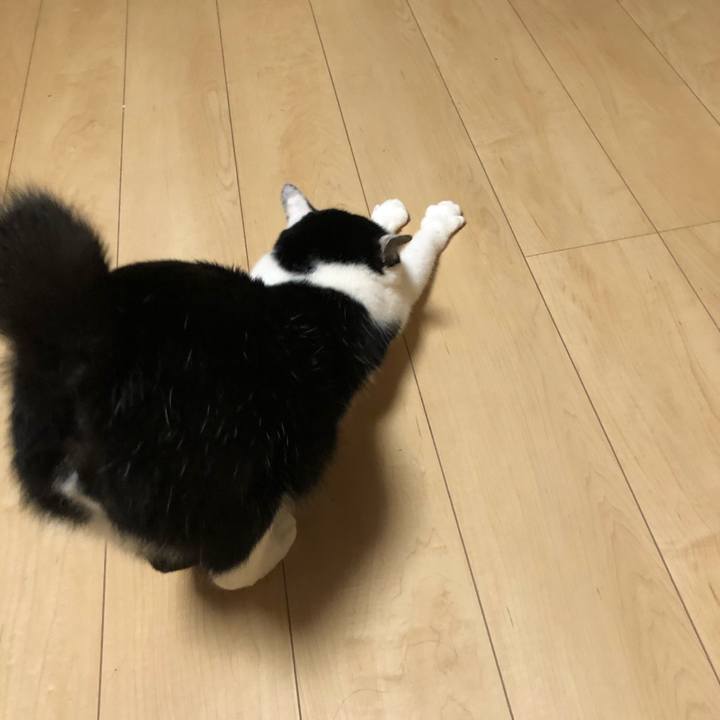 0402b3e3 b3b5 43e3 a54d 262caaaf0f76 1591726768537