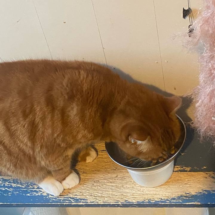 0402bf64 b40f 4338 883b c113f49b890e 1674373283047