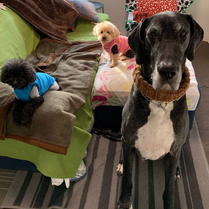 0402d439 e305 411b b464 d518a3546713 1550789552305