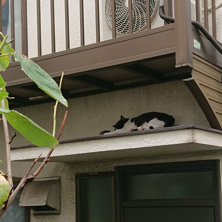 0402e148 e40d 45fb b2ad 2dc611236ad4 1536037618308