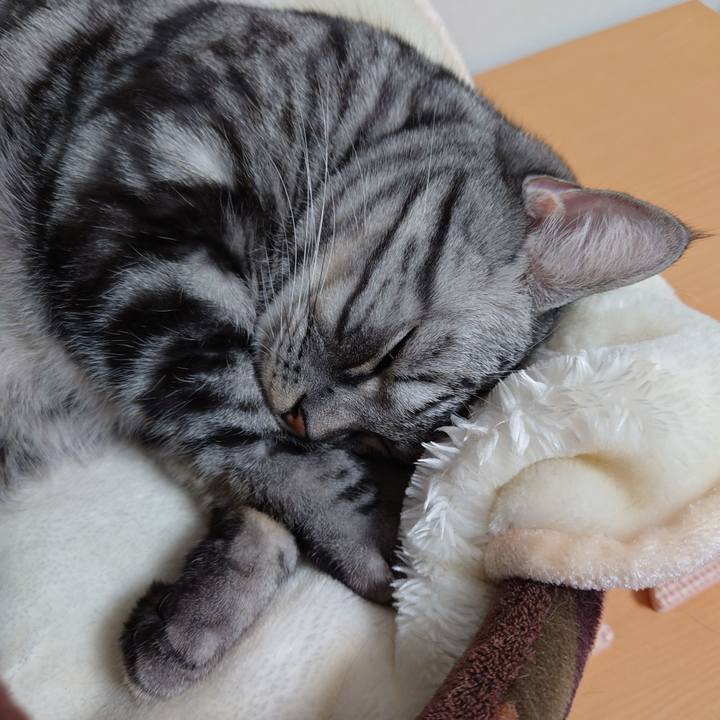 0402ee72 9bcd 4c26 a114 3aab8e0f4a4a 1618065947087