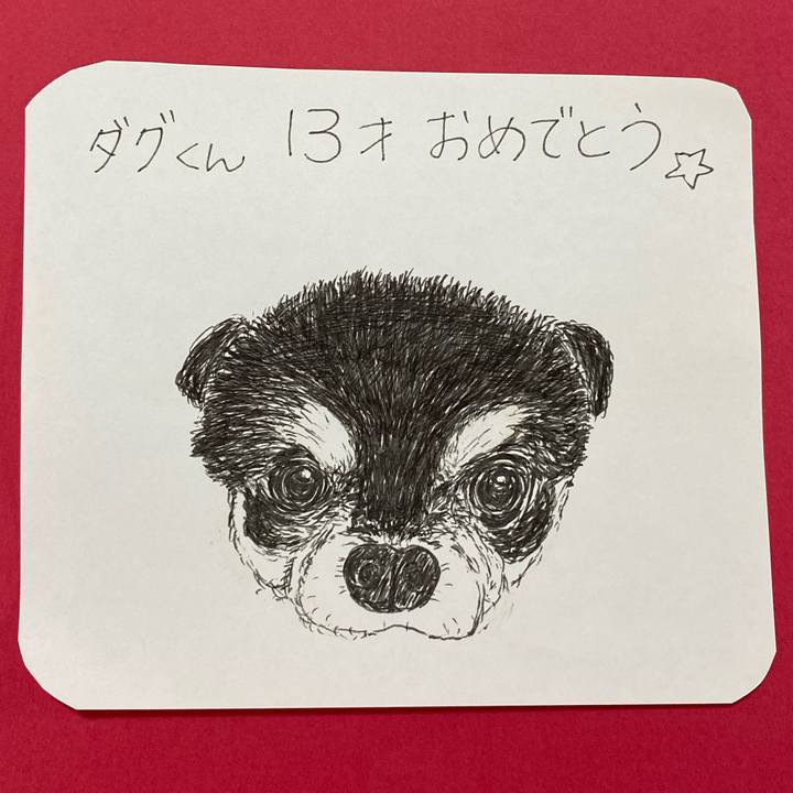 04030b44 187f 43d1 847a e3d17f179bef 1624324048968