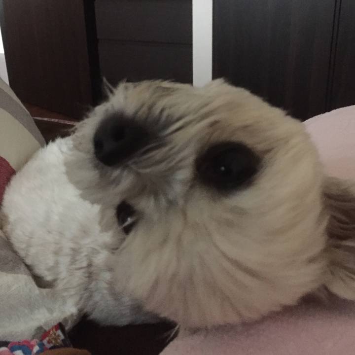 04033ac4 ccf6 42a0 aef1 83b4eacf8ce8 1512127081199