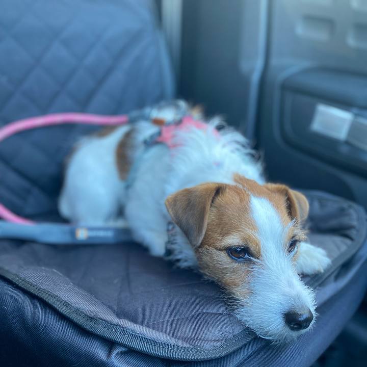 04033c4e d9fc 456f be00 8038d29dc158 1768101777743