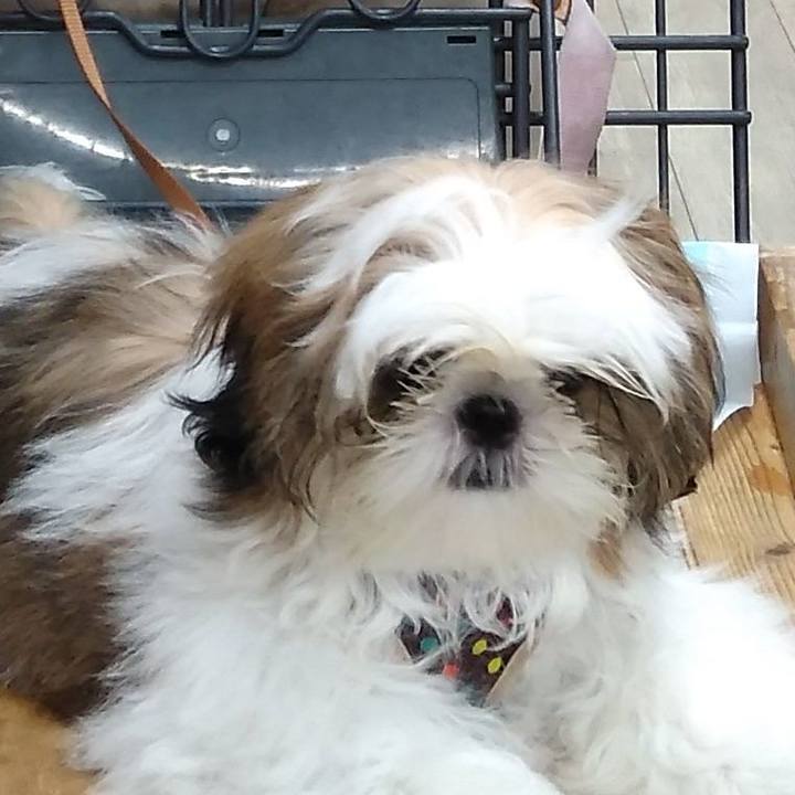 04034897 9974 4189 bd3a c1b70baf521e 1537072095988