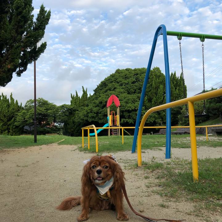 04034fec cdbf 441b 88fe 89c9423d24d6 1627165667658