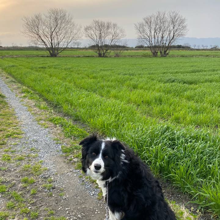 04035d1b 2e53 4d7c a20d 70d8ddacc187 1615077488698