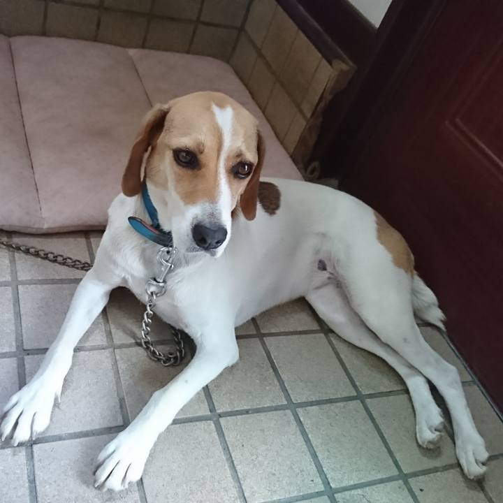 040383a6 047d 4a07 850b 2ac8aad8e03b 1561693517792