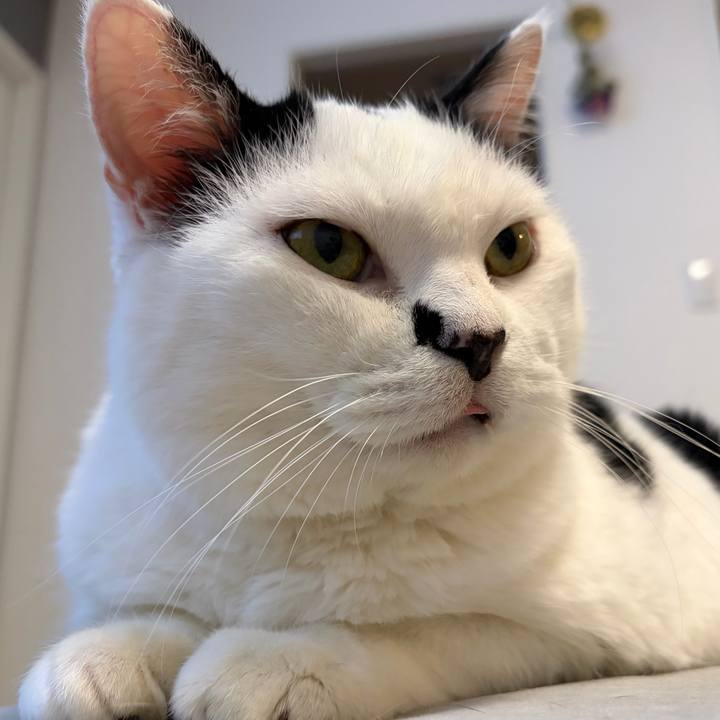 0403a5eb bcda 4f45 a20f c657c9179f46 1775128275338