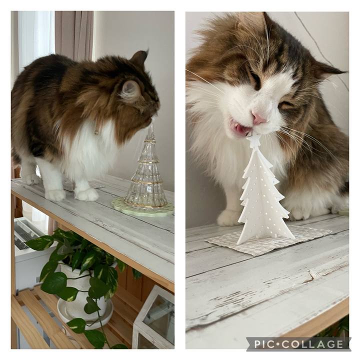 0403ecc4 39b9 4d2b b14f 7d6b48b6438e 1702785198464