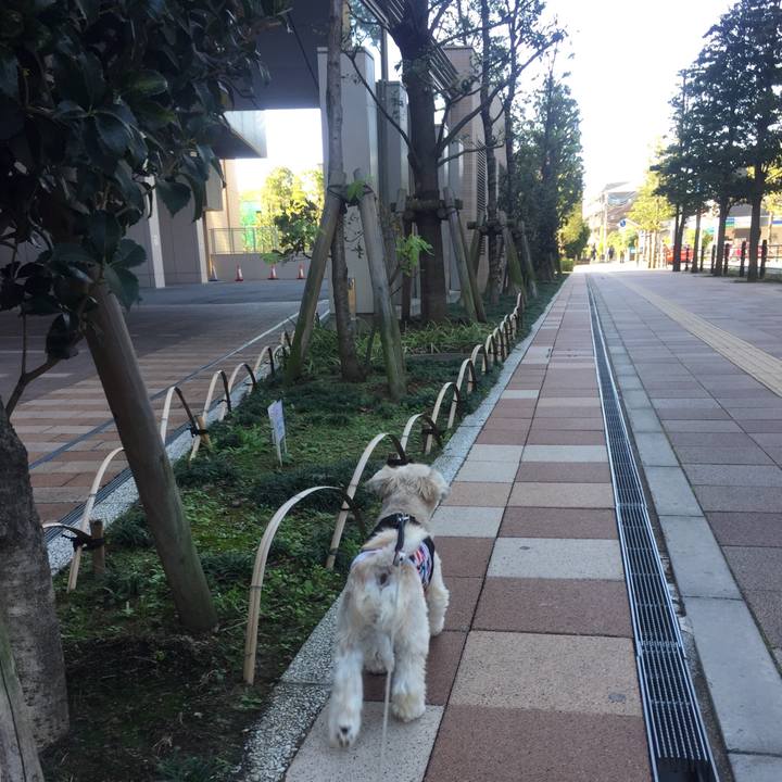 04043f77 5019 4b10 818b ee5708c2a0a5 1540105535335