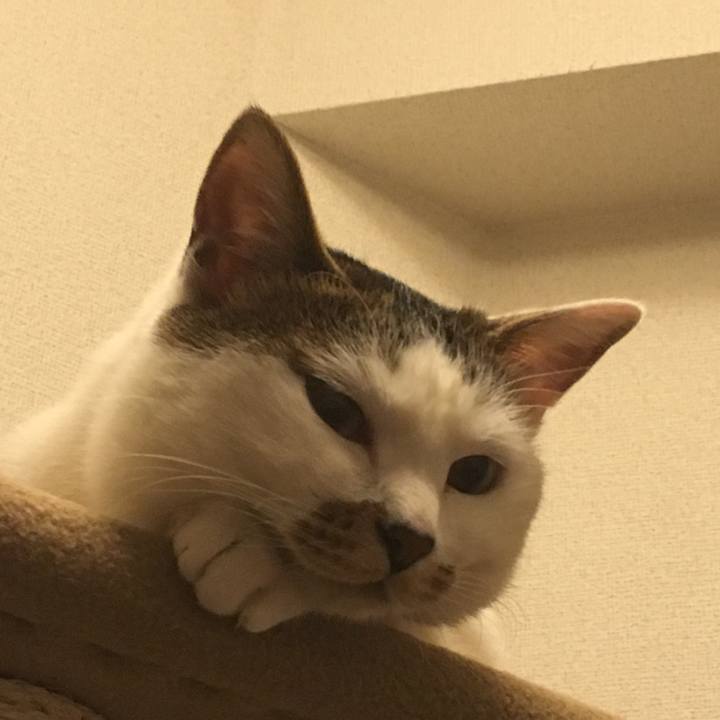 0404916c 7c43 4a12 8b5c b48ab42412a7 1517842358173