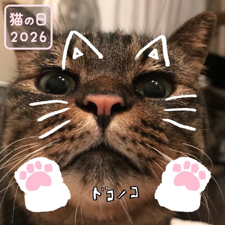 040496d2 da50 48ba 9c7d f437a3d91525 1771714326901