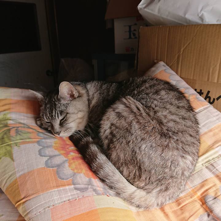 0404e765 ec45 4351 a4c5 e31bdd105792 1572661514589