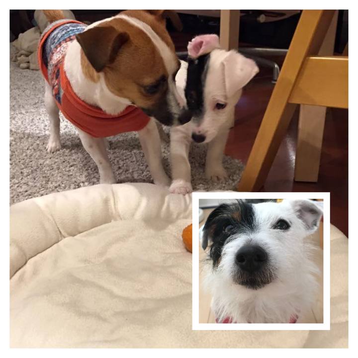 04051359 6376 41cb 859b 0b78715ac71d 1517960970573