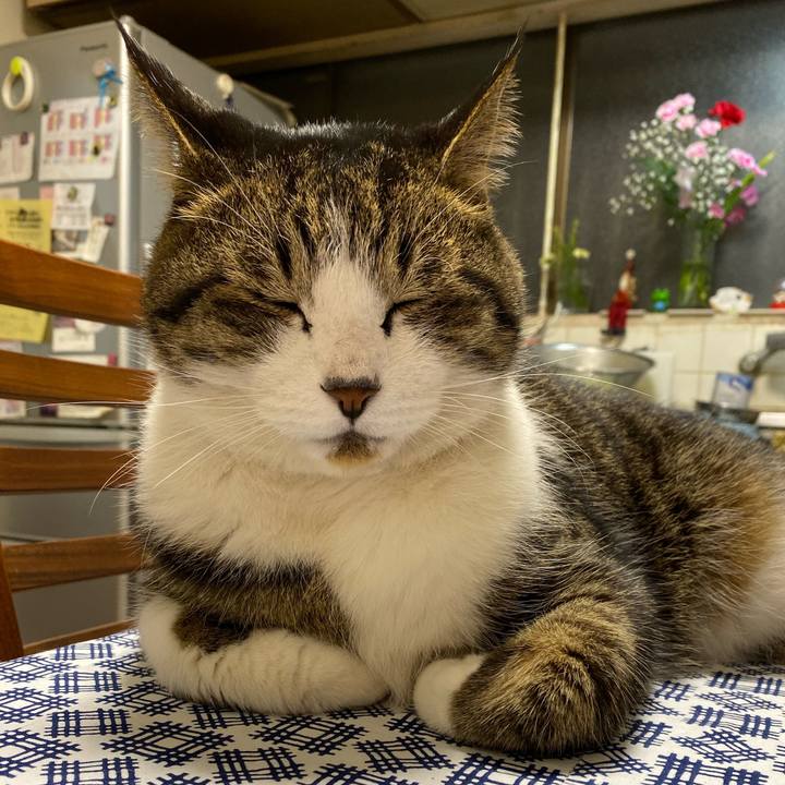 0405193b c7a2 4db6 ba0e fb63cbd9a814 1576493244452