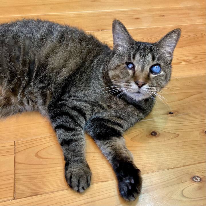 04053e54 7bad 4444 8794 f571c684938c 1661595210819