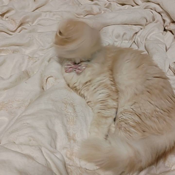 040560dd 5075 40d0 a9cd b65284f40f9b 1665323357456