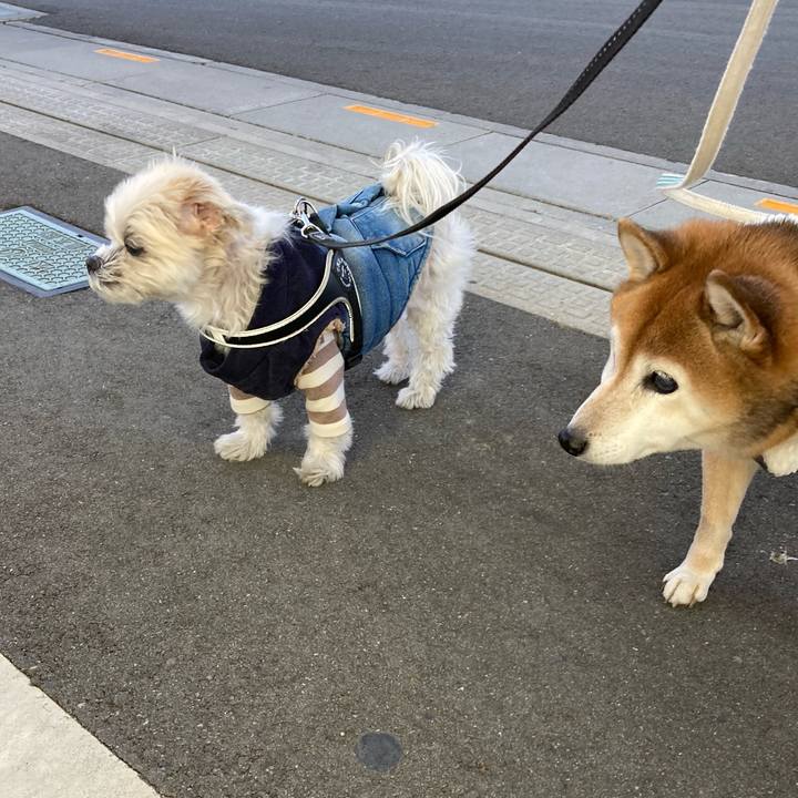 04058355 7c8b 465c b3b1 44d8e481b64e 1734599748753