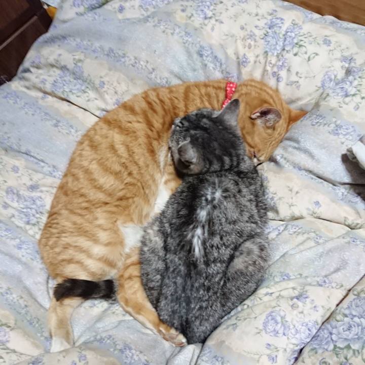 0405a52f bc26 49eb 87f9 a77551f51b5f 1579782925249