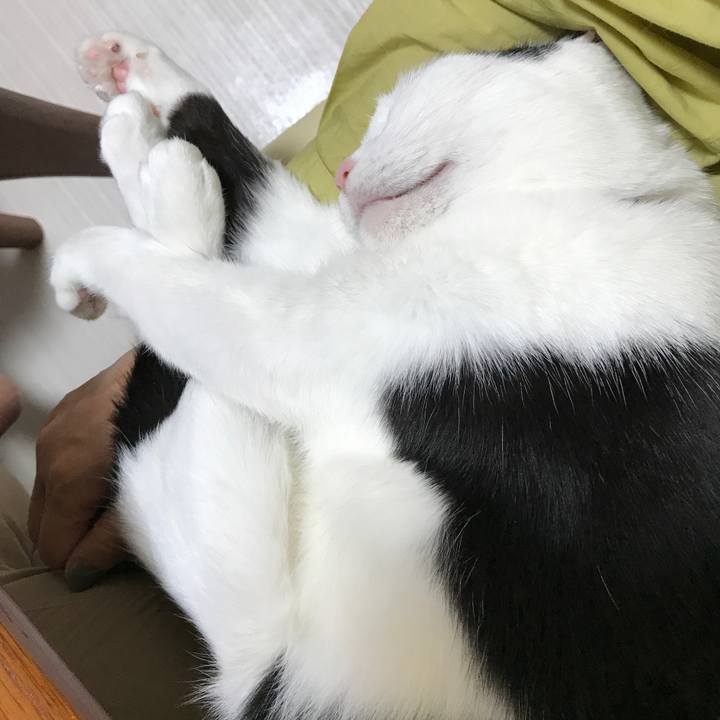 0405b902 5915 4f97 8e20 48cdc206f569 1525427854753