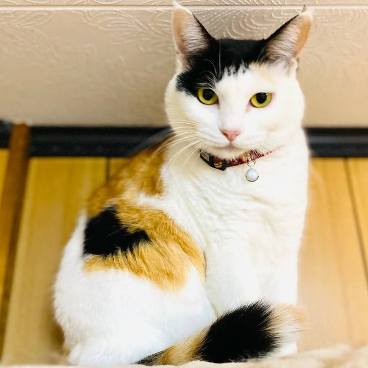 0405d182 5d49 4618 8acc 060c6f46db65 1667912884650