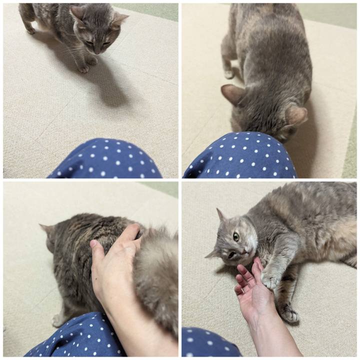 0405e27c 5f45 4cdc ace8 307c6a5f460e 1694671138641