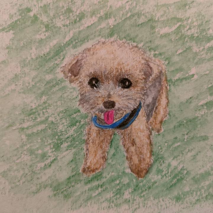 0405ec8c 2354 480c 8c1b f17e9b9e1d5d 1630658666685