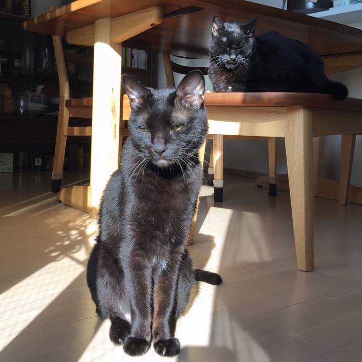 04060ac6 2a27 46fd a328 be71c887dff0 1540619740236