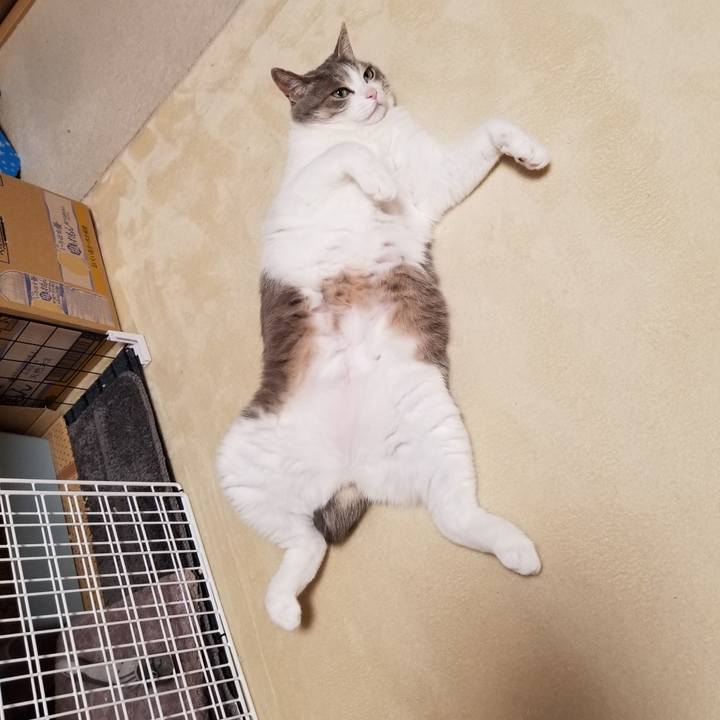 0406381a 0bd5 4832 a183 3c3c54aef229 1676421387777