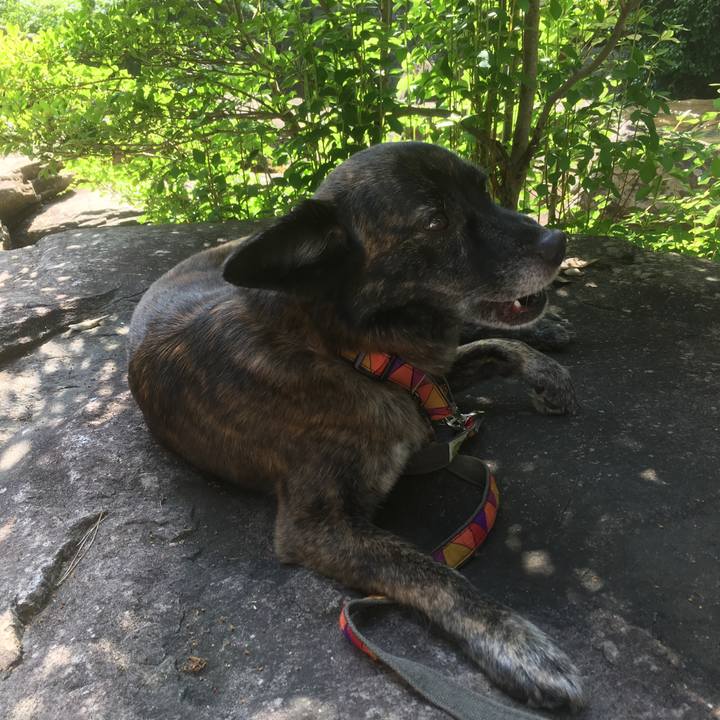 040686f1 e2d0 4189 a65d 4d64755a52c3 1528205485922