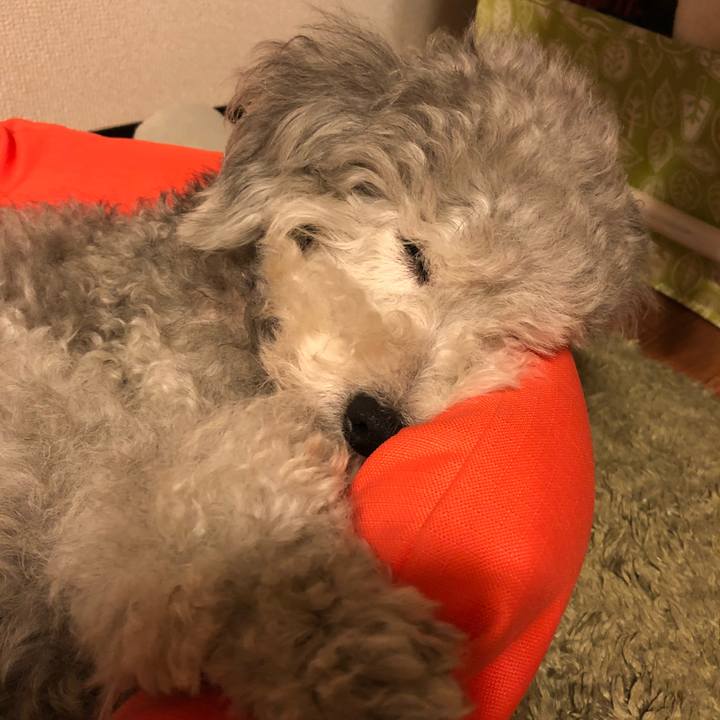 04069094 adf7 4d0f acb8 d6c124ee3456 1528414839311