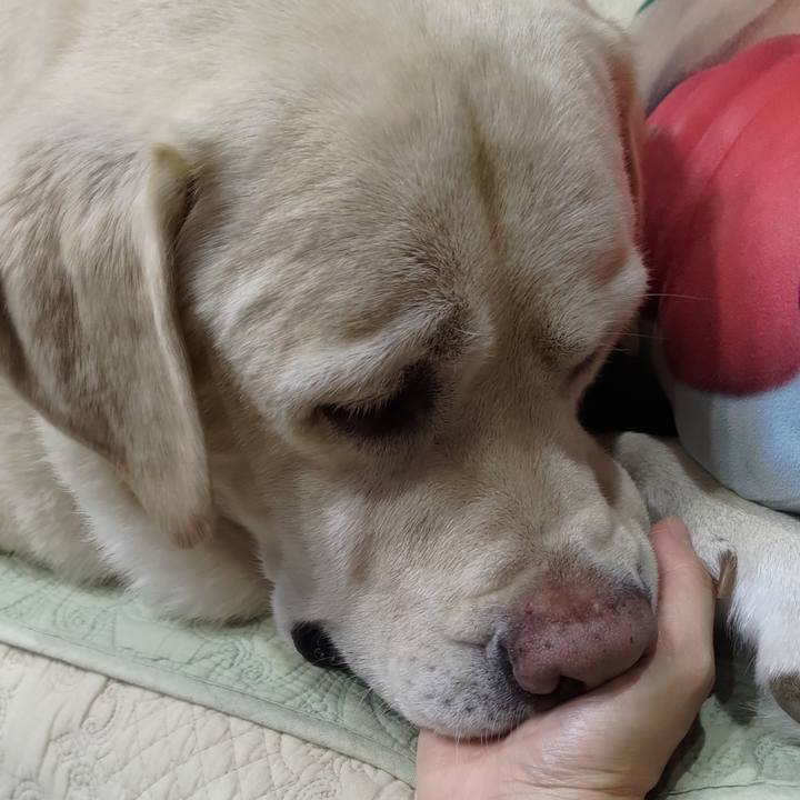 040693ca 21e8 4e1e 9108 088b21d0a758 1661587532882