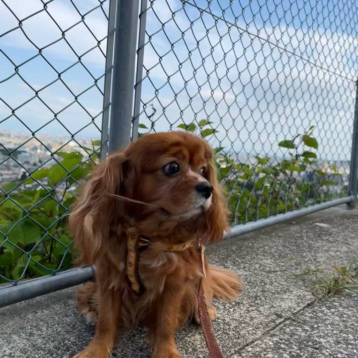 0406a012 32ef 42c4 8e69 f75e81377a2c 1652513573985