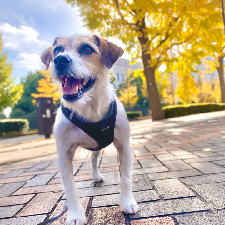 0406b26c c58b 4fae b69f 8a94e757a3b8 1669547571420