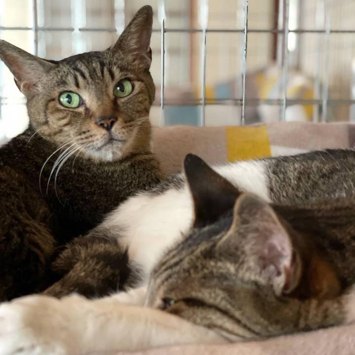 0406bb6c f8f6 465a b39b 973d06ec4b2f 1624498685009