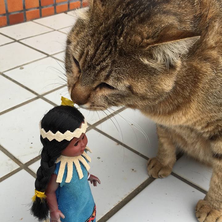 0406d73d 8043 477e 90d2 3f7f1a471d2e 1527297572060