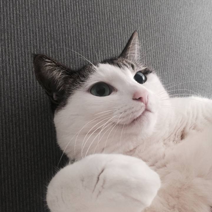 0406f039 0a87 4f08 abda 15ff9bb91d0f 1510352371430