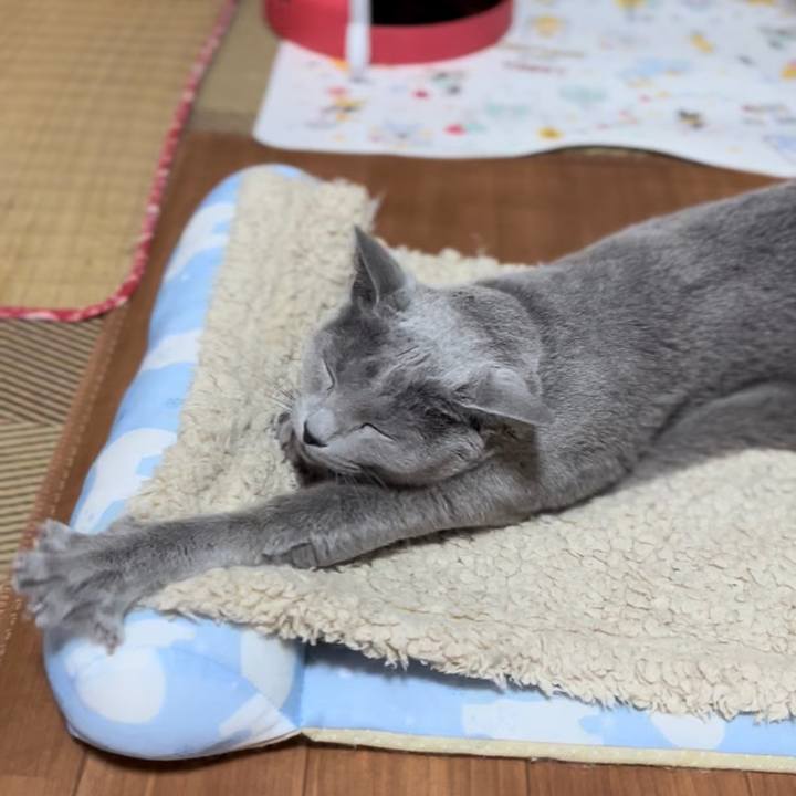 040705d2 fc70 4a1a 89d0 21b8b126fc2b 1642510734898