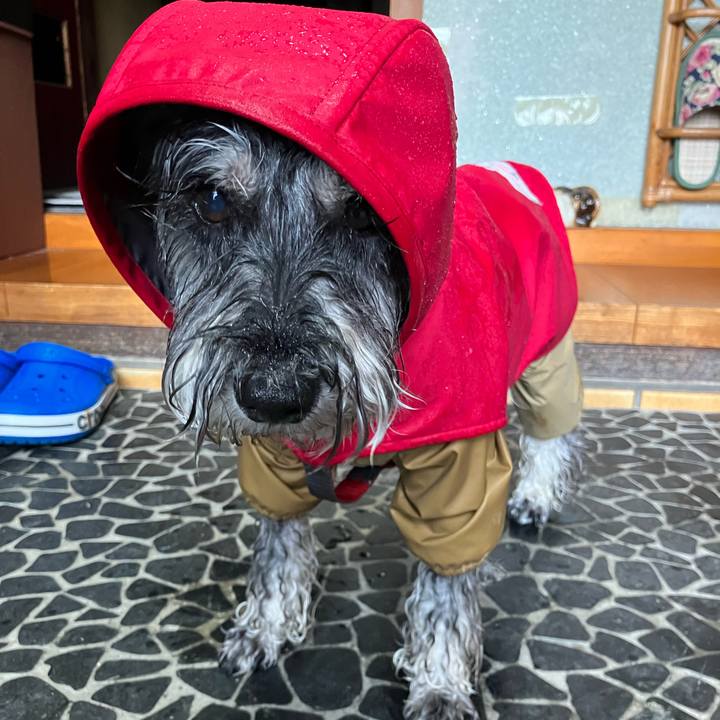 04071407 b78c 4954 bf05 bfe003c758e5 1749957777796