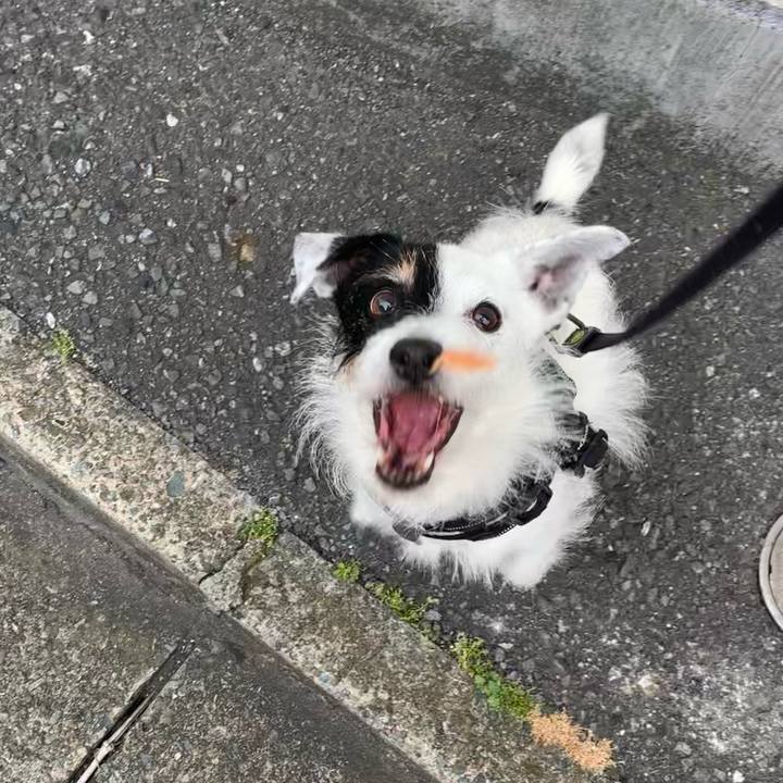 04071411 9860 4405 b5ff ca7909fe937b 1718438934435